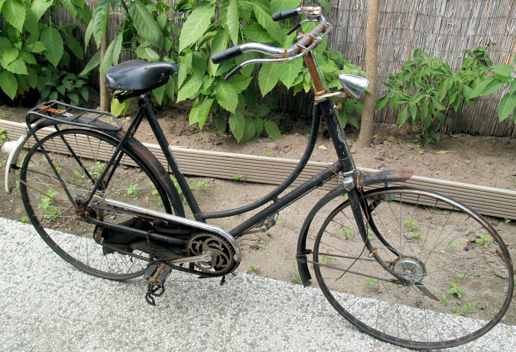 foto1.jpg