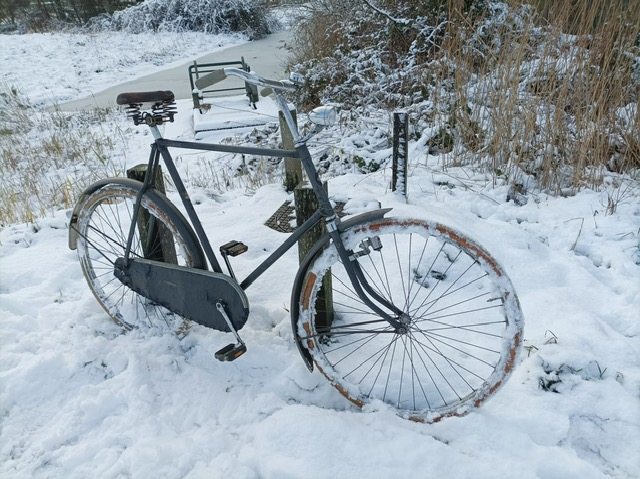 PHOTO-2026-01-06-14-45-24 (1).jpg