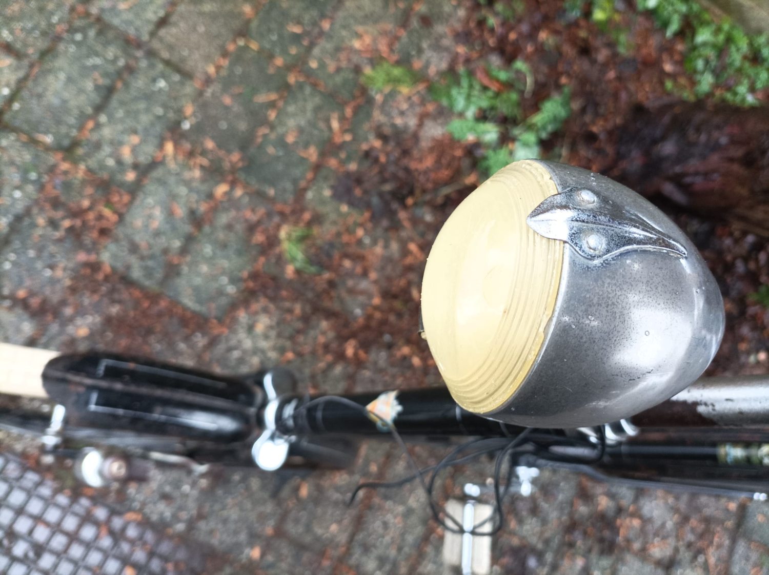 PHOTO-2026-01-09-19-31-04 (2).jpg