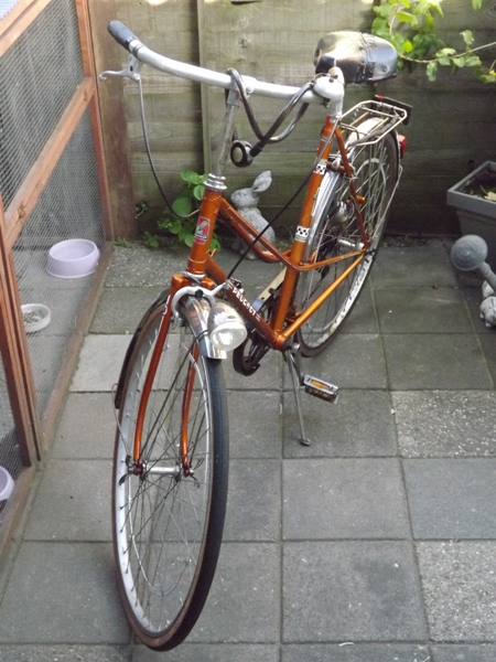 peugeot lady 01.JPG