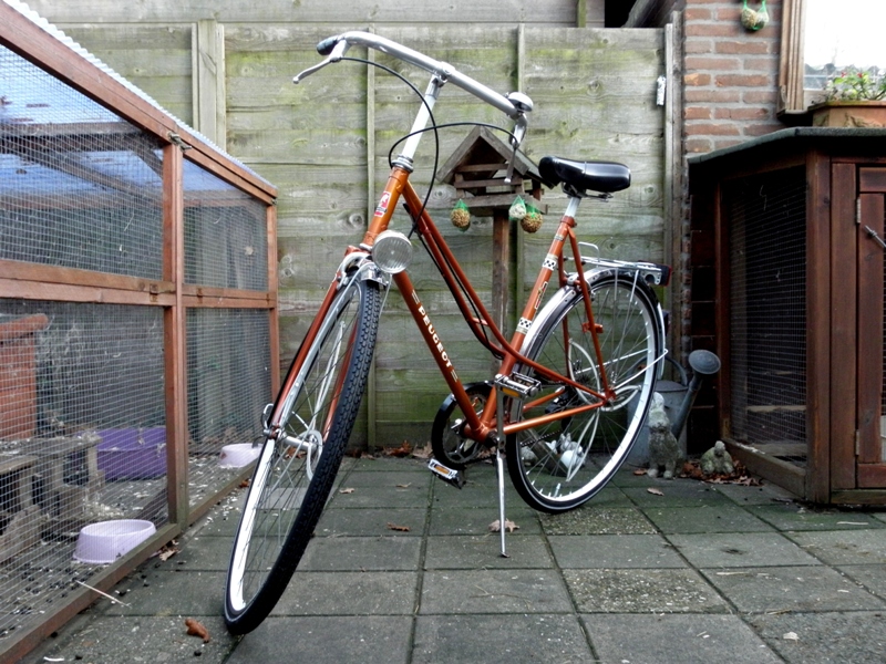 peugeot lady 02.JPG