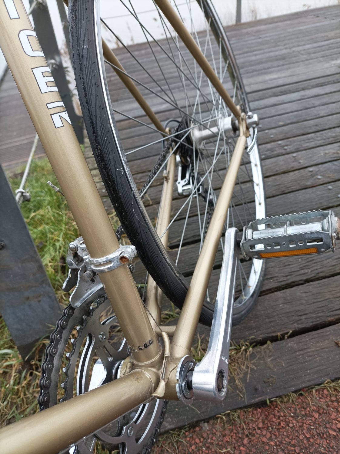 PHOTO-2026-01-31-15-05-41 (1).jpg