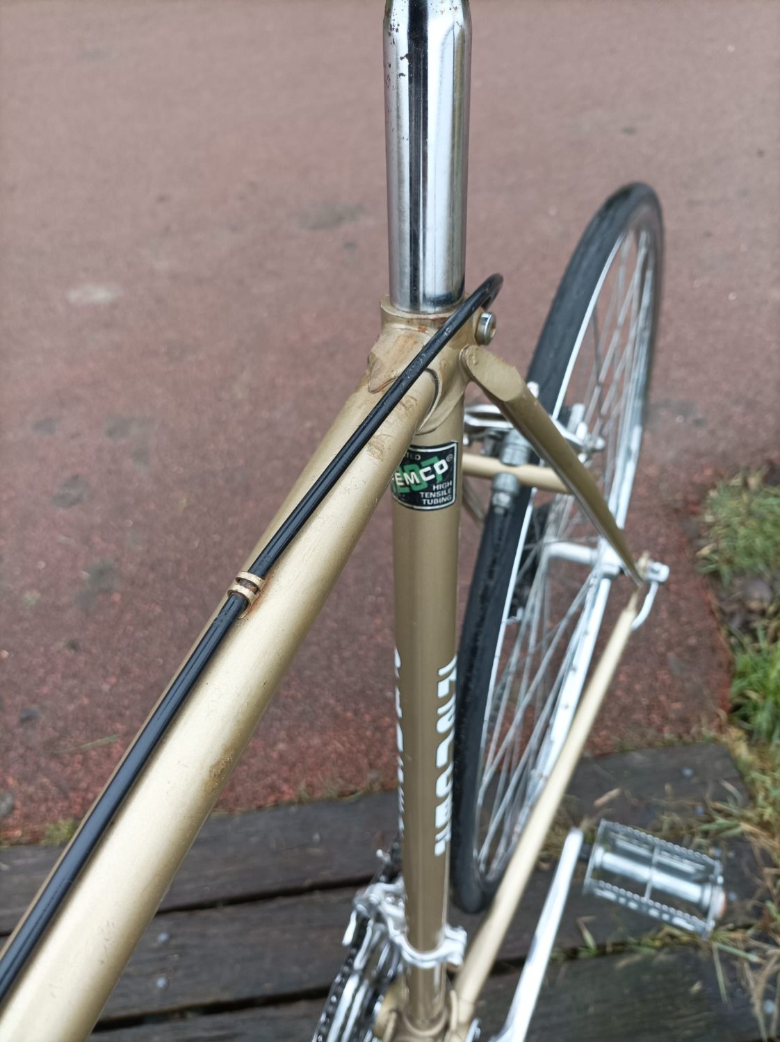 PHOTO-2026-01-31-15-05-40 (2).jpg