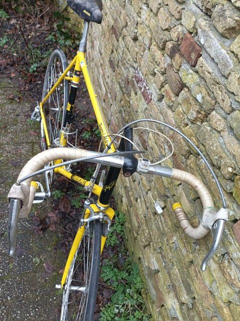 PHOTO-2026-01-31-15-07-09 (1).jpg