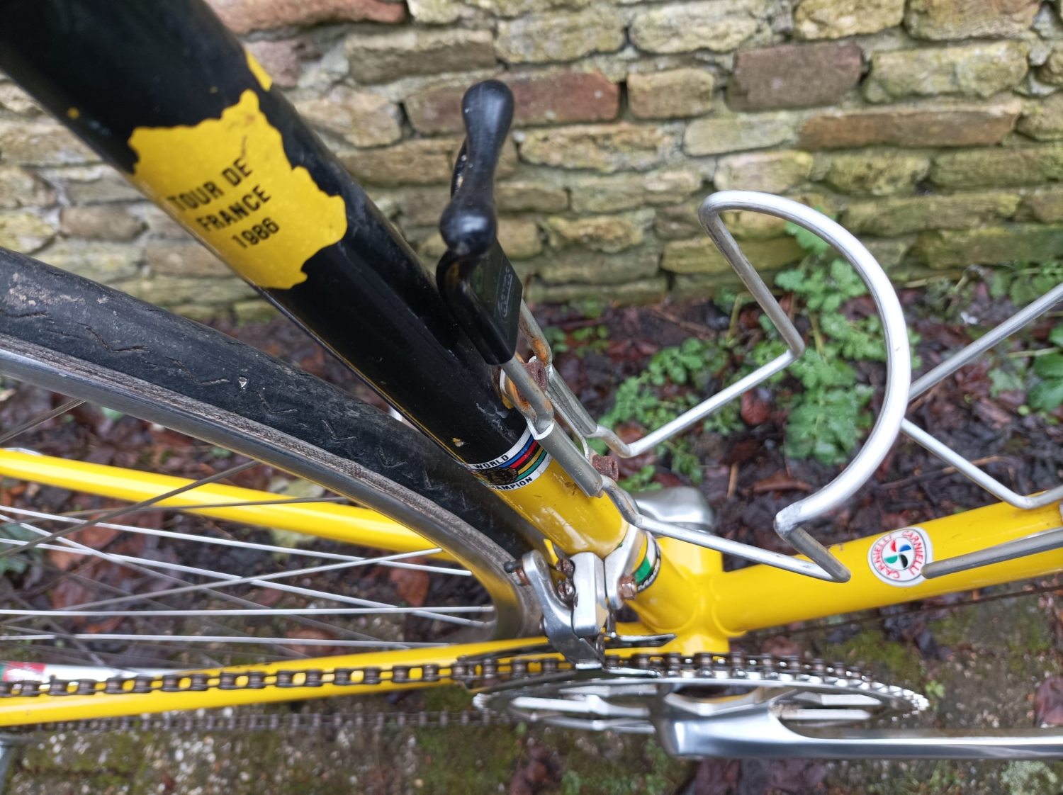 PHOTO-2026-01-31-15-07-07 (3).jpg