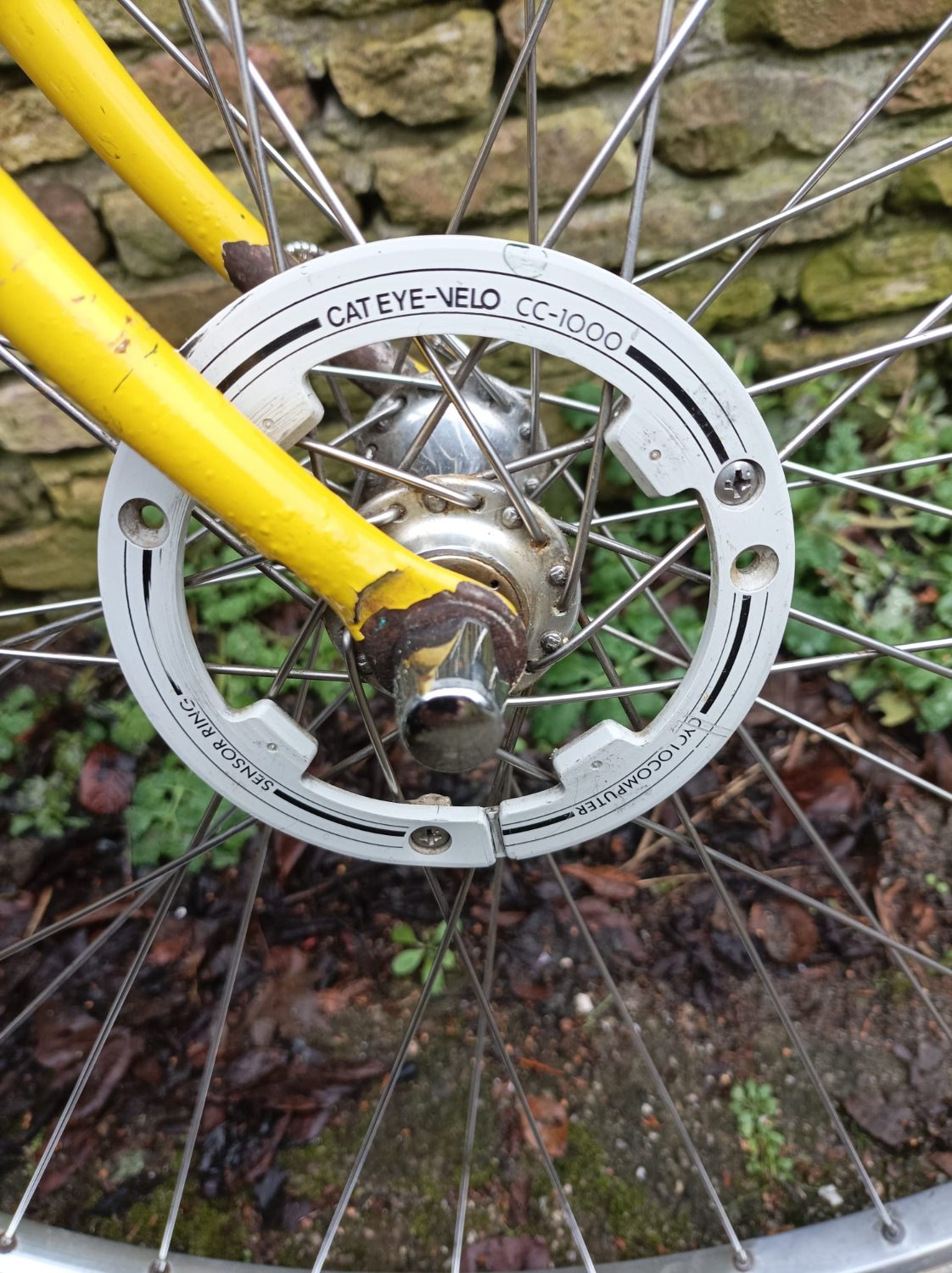 PHOTO-2026-01-31-15-07-07 (2).jpg