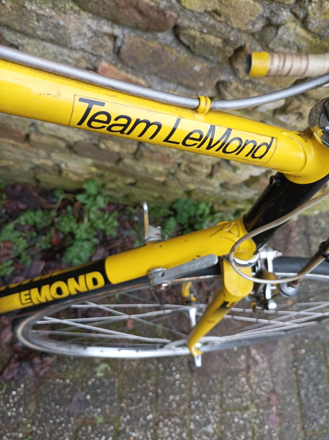 PHOTO-2026-01-31-15-07-07 (1).jpg