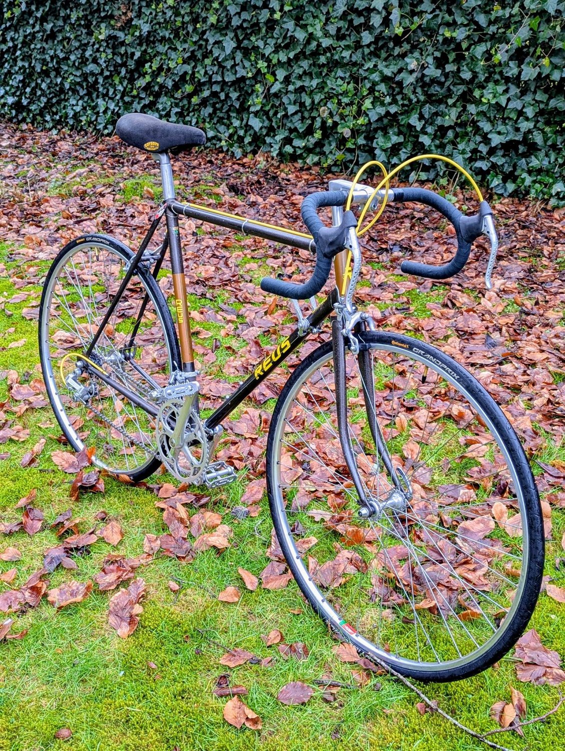 De Reus Joop de Koning.def.jpg