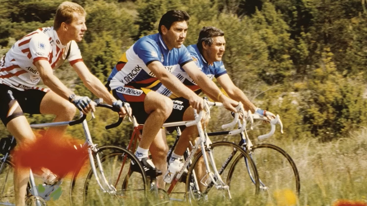 Wielrenners screenshot.jpg