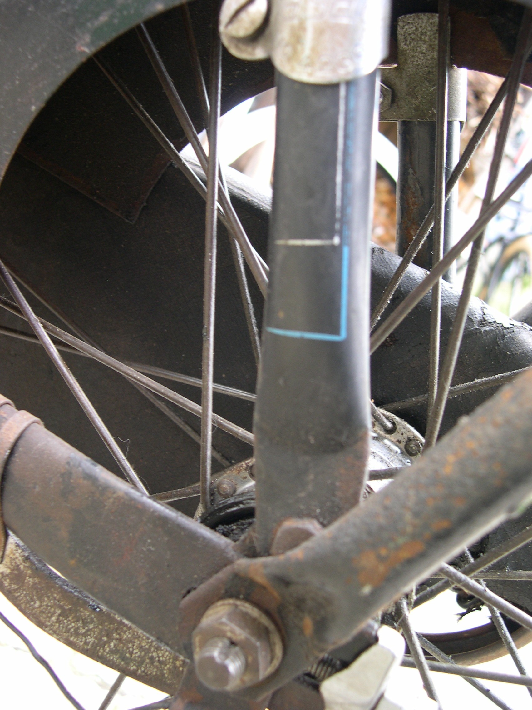DSCN8774.JPG
