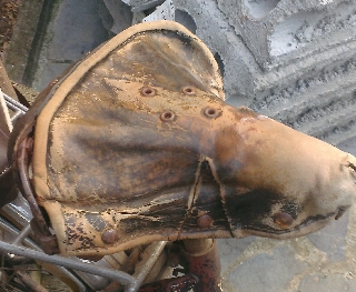 1387443399NIMAG0036_1.jpg