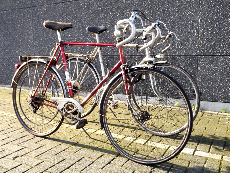 DSCF7541.JPG