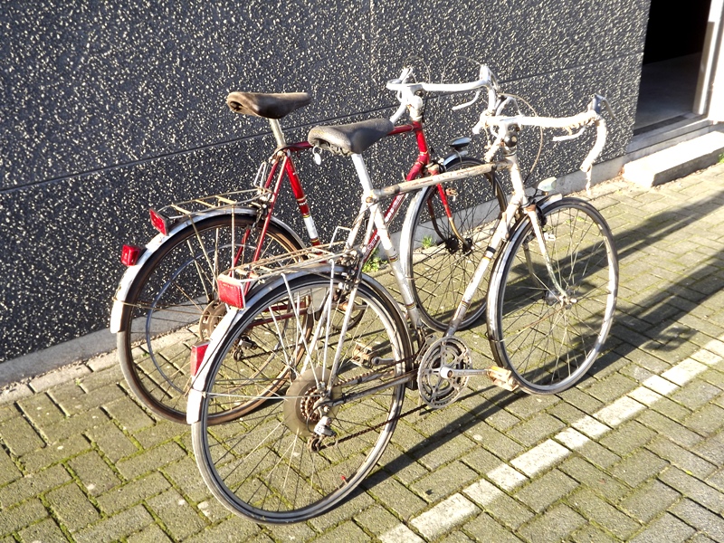 DSCF7537.JPG