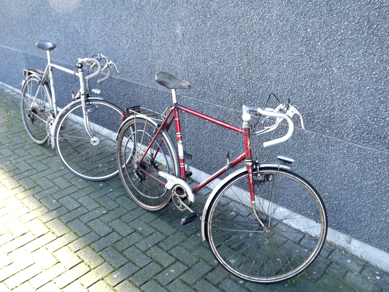 DSCF7574.JPG