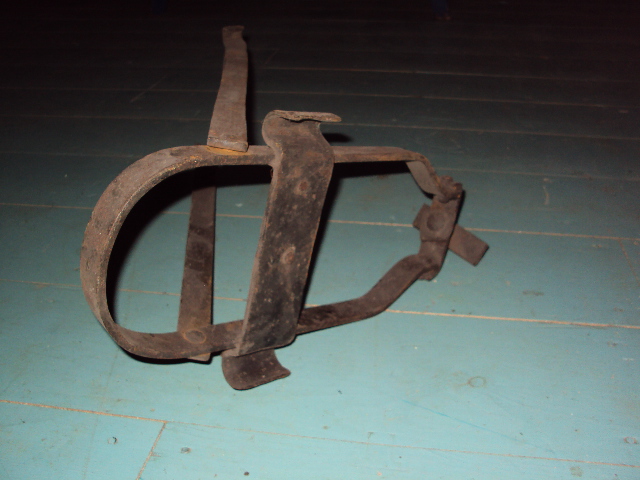 DSC02287.JPG