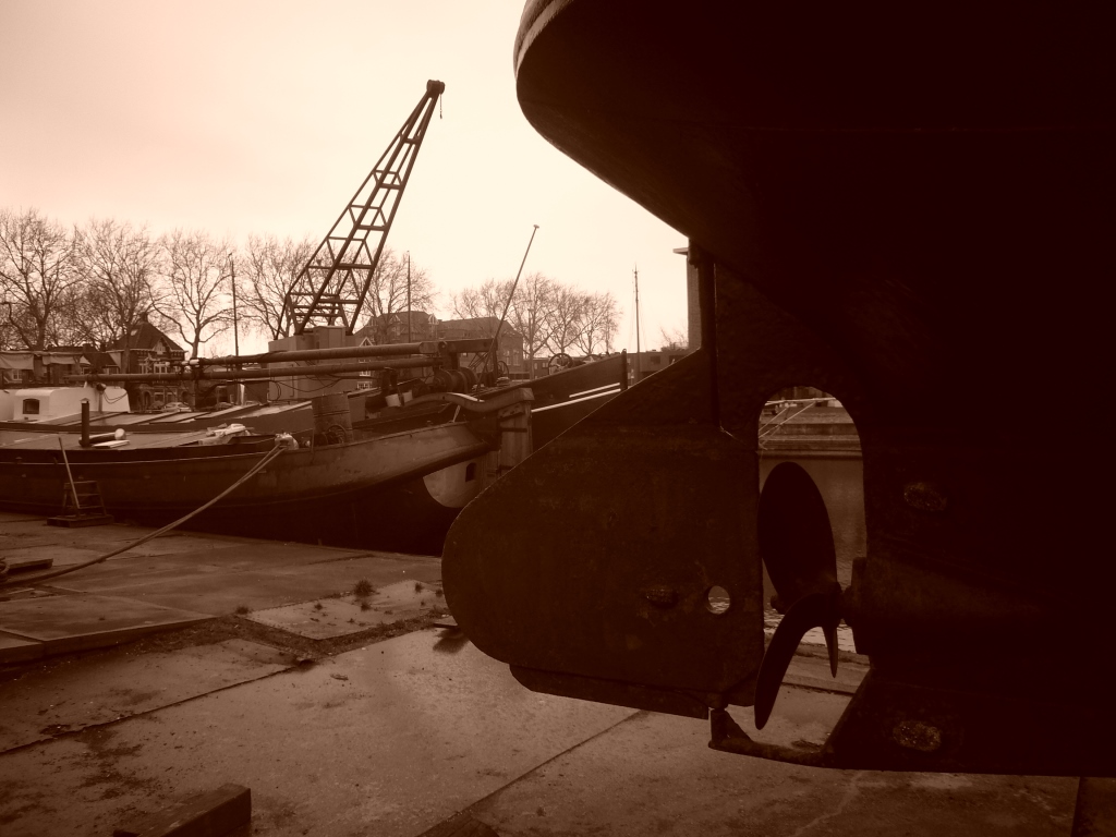 P1000711-2.jpg