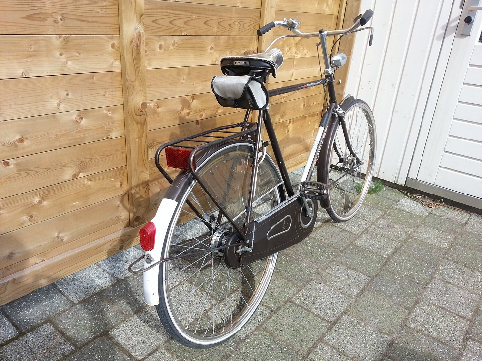 trimsport 3.jpg