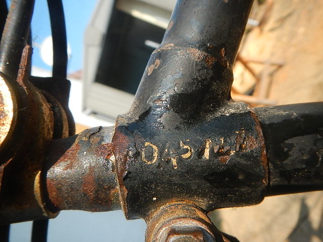 DSCN1186.JPG