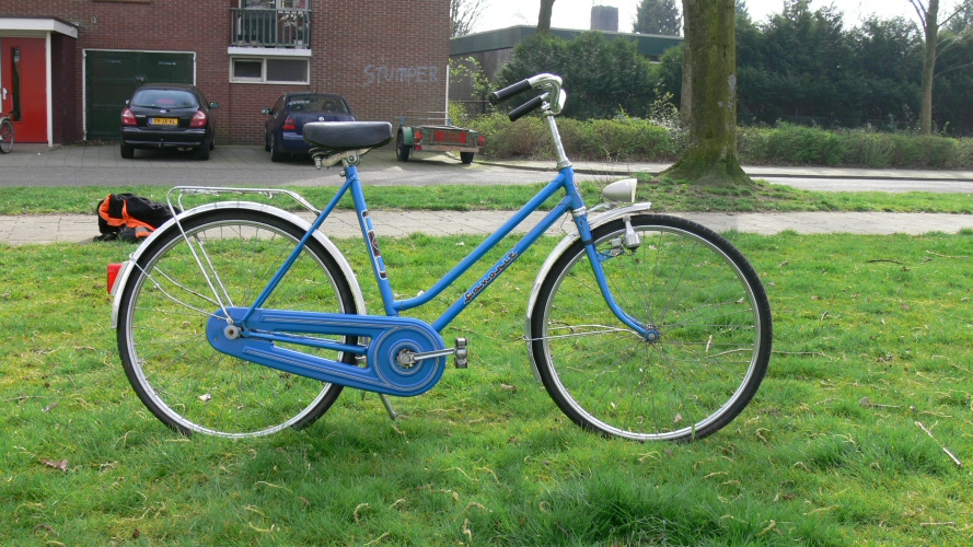 favorit (2).jpg