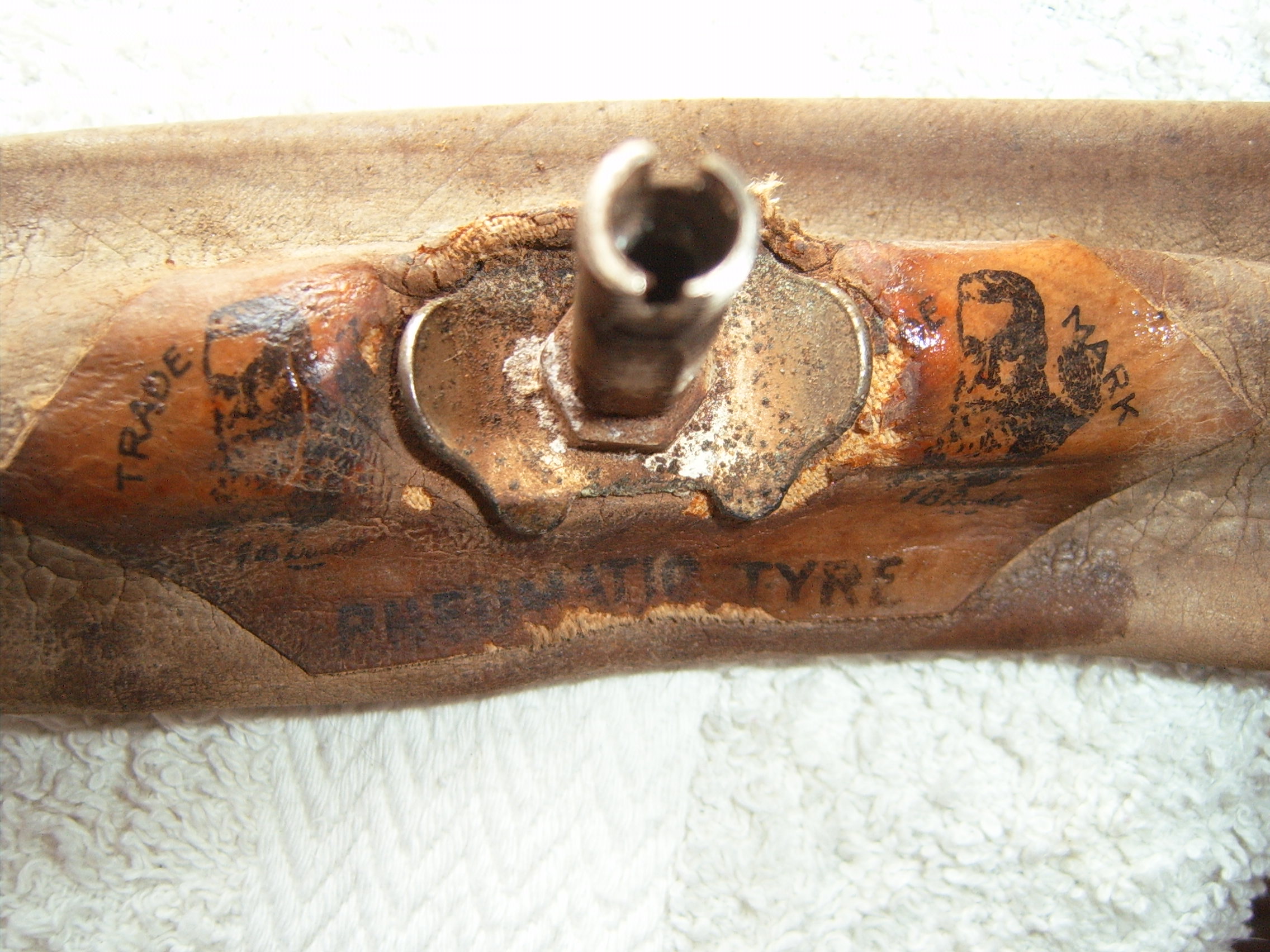 S4300168.JPG
