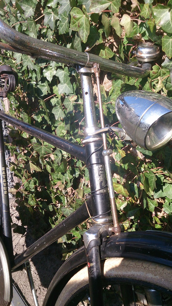 Batavus_3.jpg