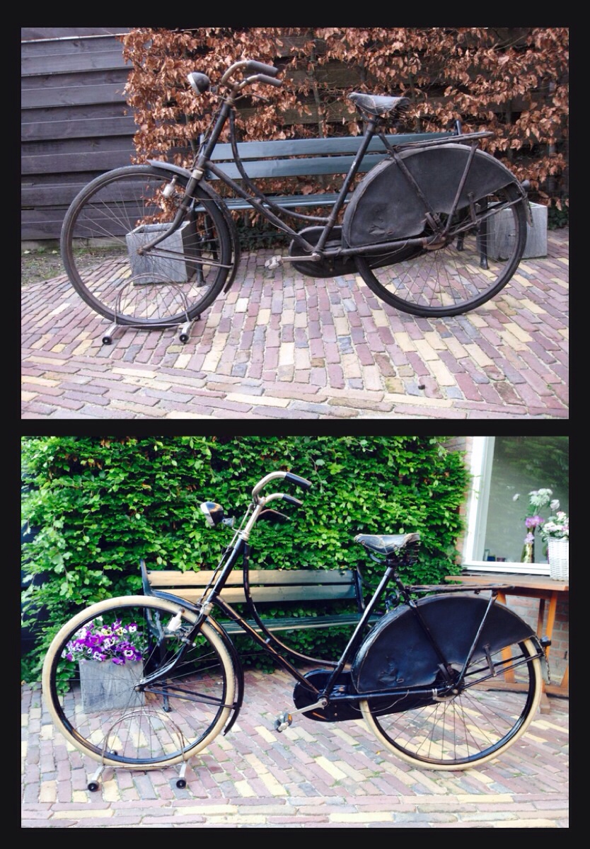 Veenlust damesrijwiel