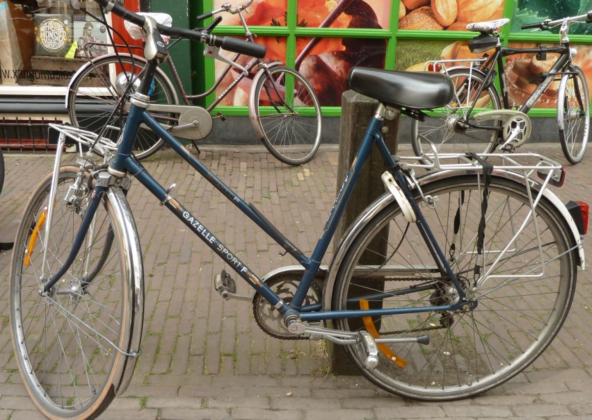 gazelle-0.jpg