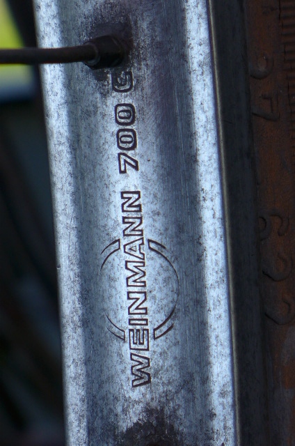 L1020079.jpg