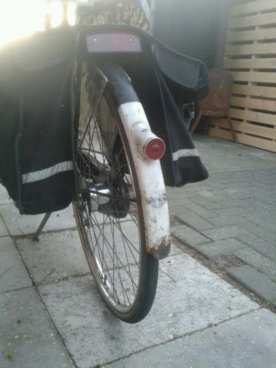 gazelle4.JPG