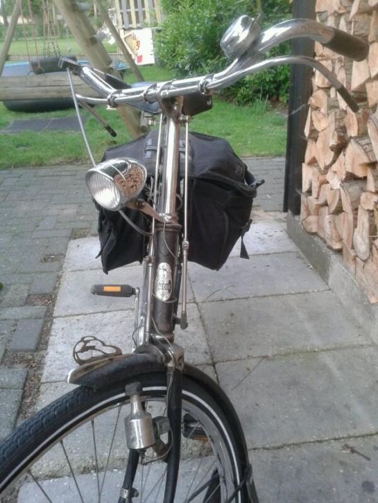 gazelle5.JPG
