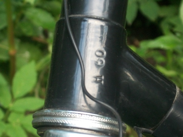 000_0007-8.jpg
