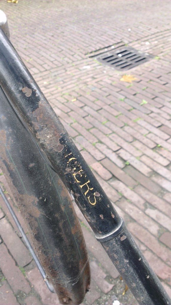 IMAG0495.jpg
