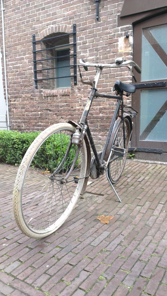 IMAG0498.jpg