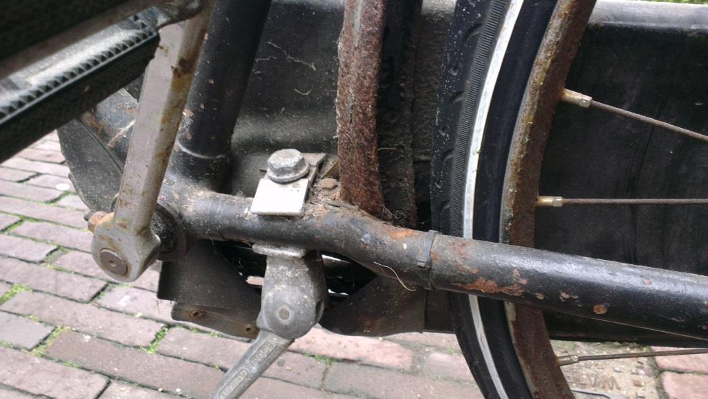 IMAG0504.jpg