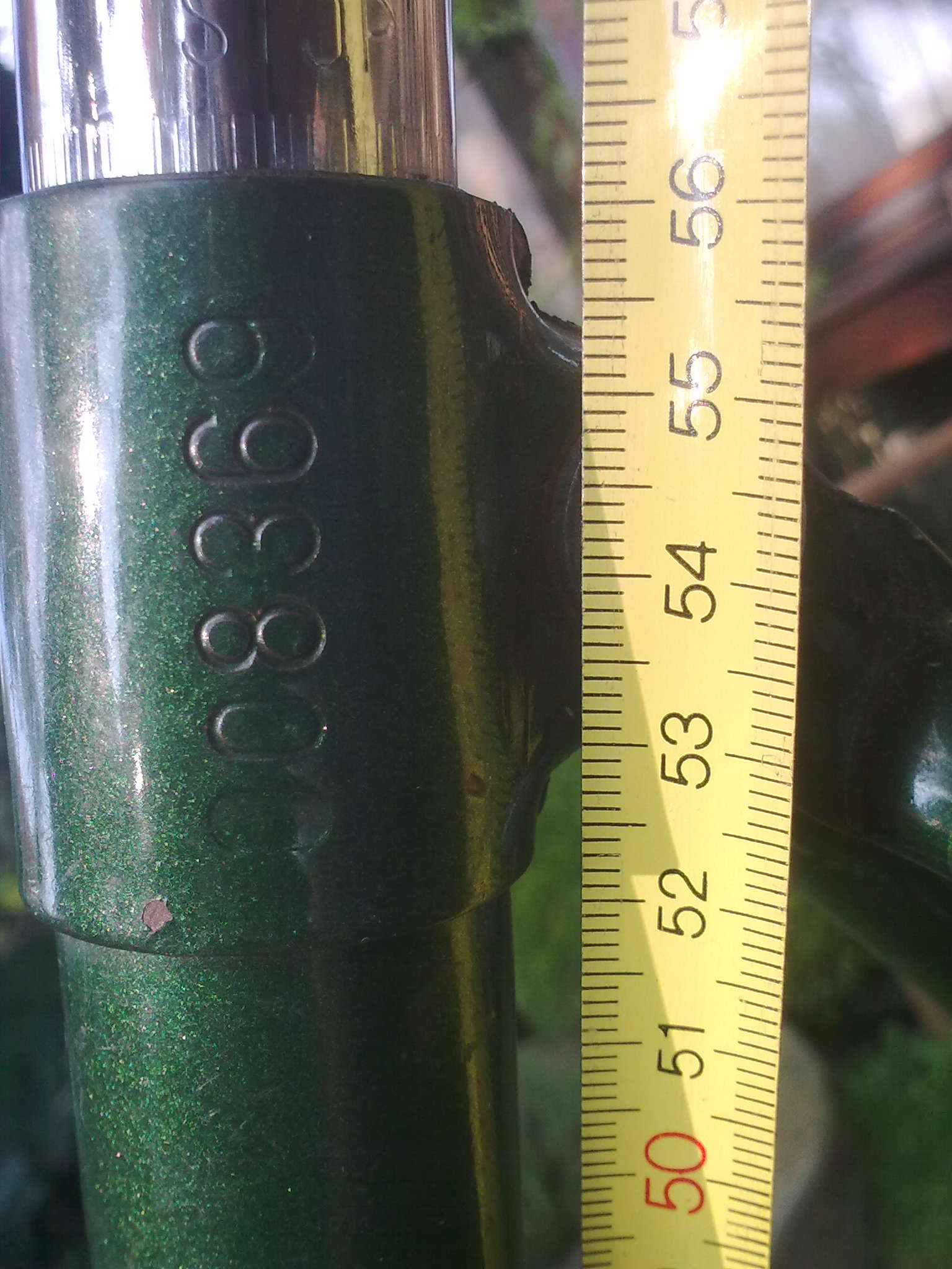 Afb7798.jpg