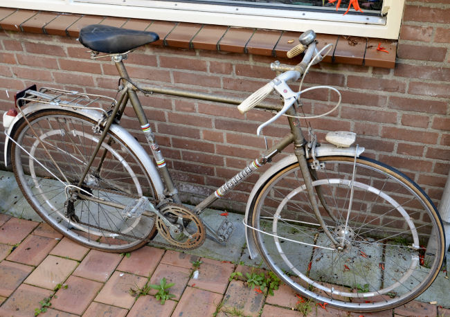 flandria1.jpg
