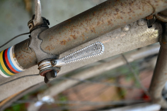flandria5.jpg