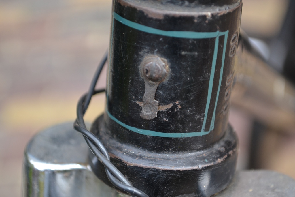 DSC_0342.JPG
