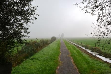 DSC_1321.JPG