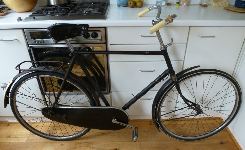 gazelle-sport1.jpg