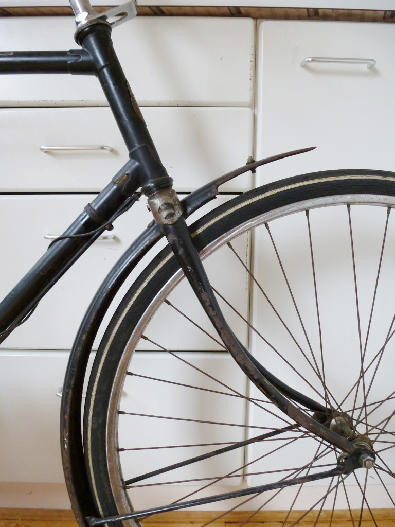 gazelle-sport2.jpg