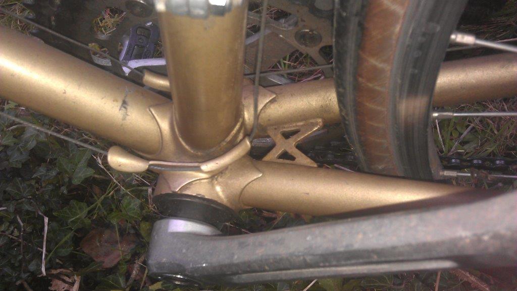 IMAG0875.jpg