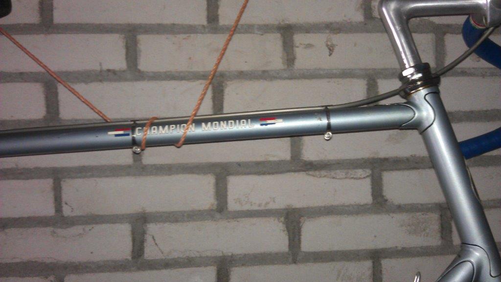 IMAG0731.jpg
