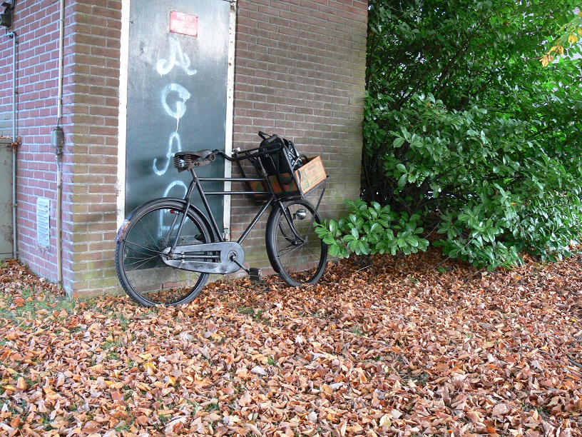 kl7.jpg