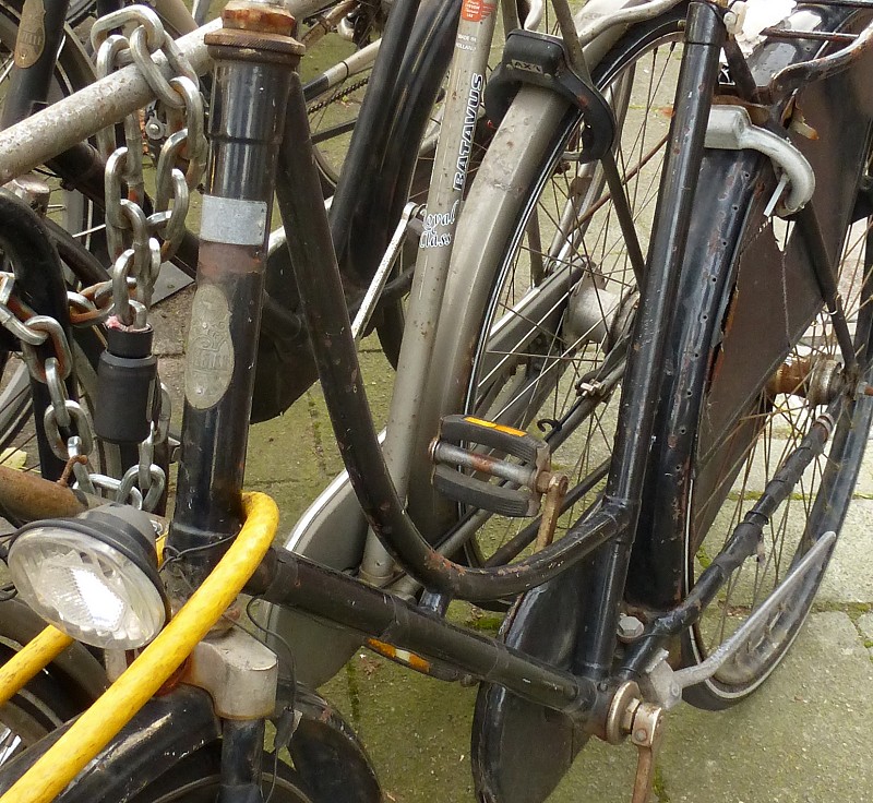 bijnaoudstegazelle2.jpg