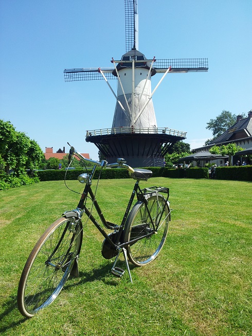 20120527_125855[1].jpg