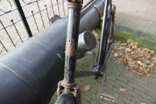 IMG_1075.jpeg