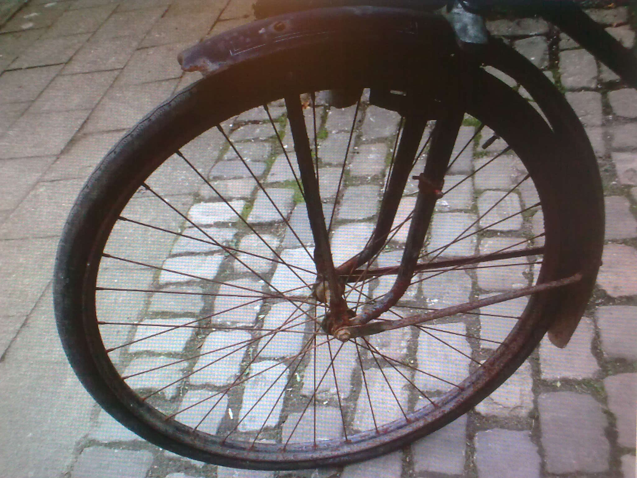Afb8262.jpg