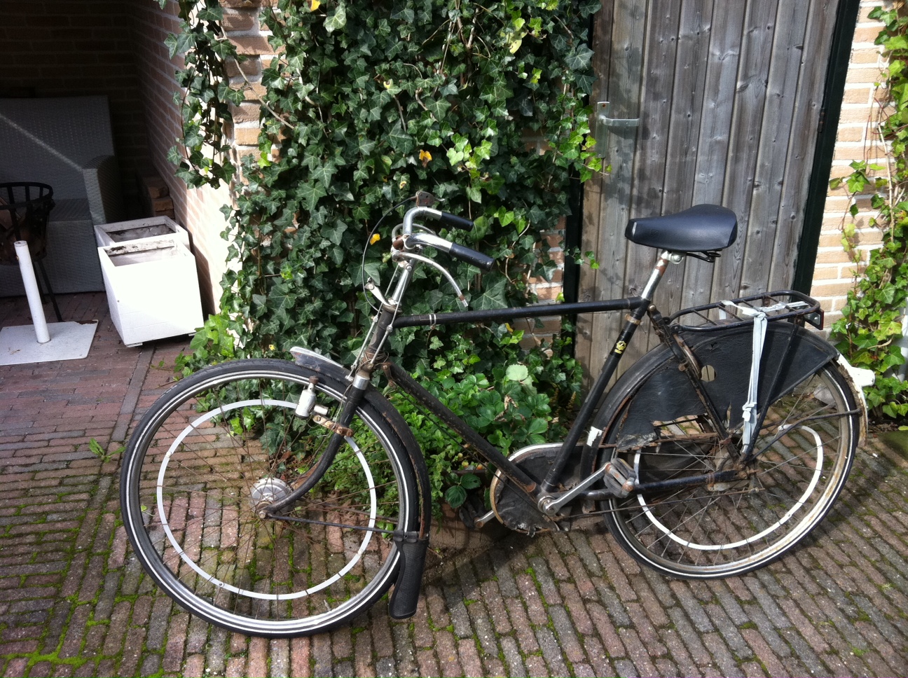 foto 1.JPG