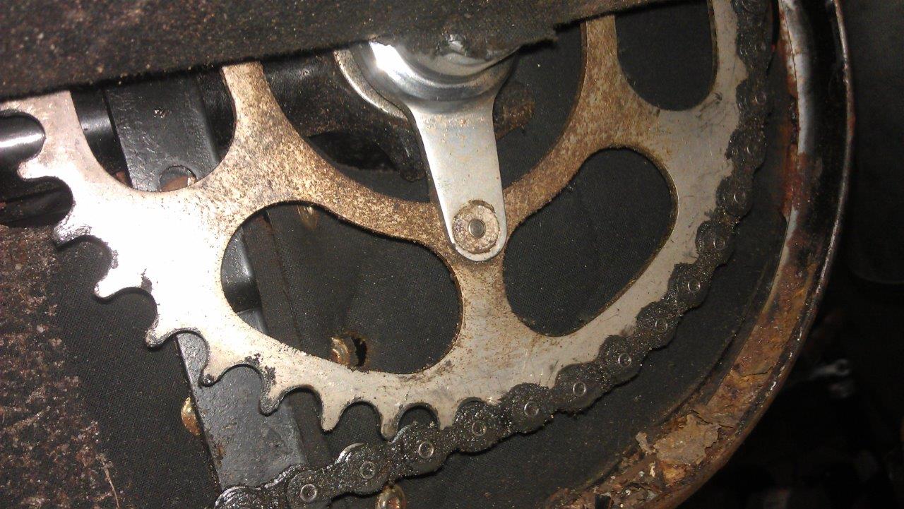 IMAG1005.jpg